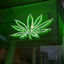 Cover Weed Wit U