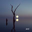 Cover In The Dark