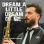 Cover Dream a Little Dream of Me