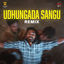 Cover Udhungada Sangu Remix