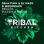 Cover Pasilda (CASSIMM Remix)