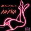 Cover AMARA