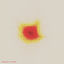 Cover starsdust
