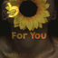 Cover For You