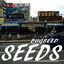 Cover Seeds