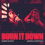 Cover Burn It Down