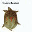 Cover Magicni Kvadrat