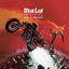 Cover Bat Out Of Hell