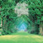 Cover In the Enchanted Garden