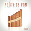 Cover Flûte de pan