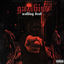 Cover Walking Dead