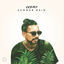 Cover Summer Rain