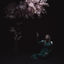 Cover As the Light Left