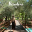 Cover Paradoxe