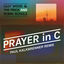 Cover Prayer in C (Paul Kalkbrenner Remix)