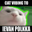 Cover Cat Vibing To Ievan Polkka Swing