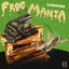 Cover Frog Mania
