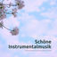 Cover Schöne Instrumentalmusik – Entspannungsmusik ohne Gesang