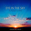 Cover Eye in the Sky (Instrumental)
