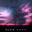 Cover Slow Down