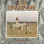 Cover Desertshore