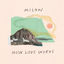Cover How Love Works
