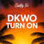 Cover Dkwo Turn On