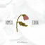 Cover Romeo & Erika