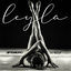 Cover Leyla
