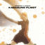 Cover Karasuno fliegt