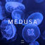 Cover MEDUSA