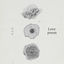 Cover Love poem