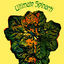 Cover Ultimate Spinach