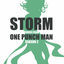 Cover Storm