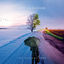 Cover The Seasons Turn