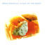 Cover Flight of the Angel (Re-Issue)