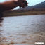 Cover Just