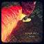 Cover Yeniden