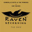 Cover Raven: The Rmx