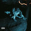 Cover Shleepin