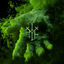 Cover Smoke (Extended Mixes)