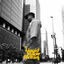 Cover Liquid Yellow Portraits