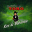 Cover Rios de Babilonia