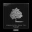 Cover Dragostea Din Tei