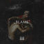 Cover Blame