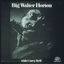 Cover Big Walter Horton With Carey Bell