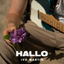 Cover Hallo