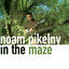 Cover In the Maze