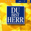 Cover Du bist Herr: Sing mit 3