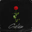 Cover Gülüm